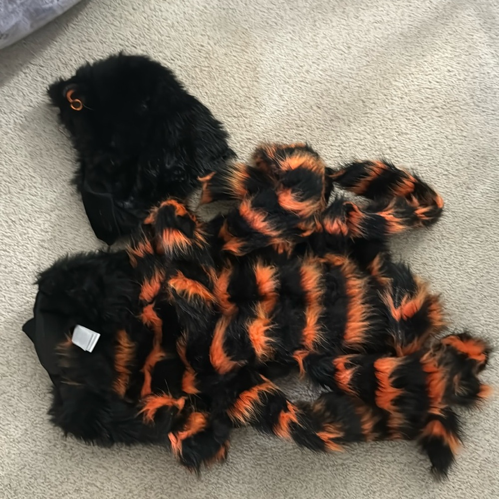 2 doggie spider costume